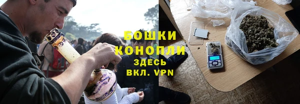 прущие грибы Балабаново