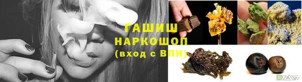 прущие грибы Балабаново