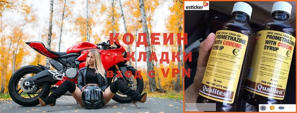 прущие грибы Балабаново