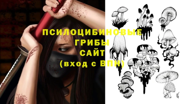 прущие грибы Балабаново
