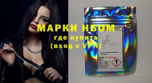 прущие грибы Балабаново